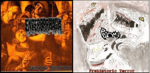 Enterorrhagia : Ptoma - Enterorrhagia